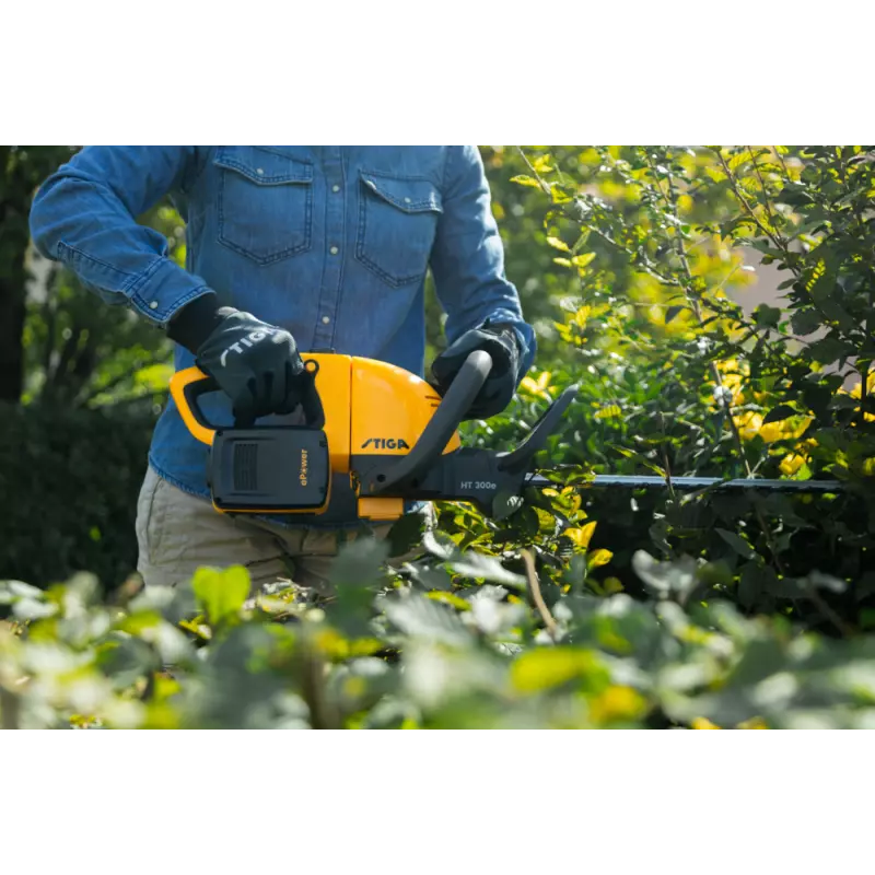 HT300e_273302501ST1_amb05_web